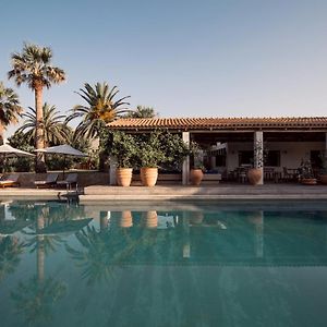 Phaea Cretan Malia, A Member Of Design Hotels